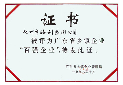 1998（广东）乡镇百强企业